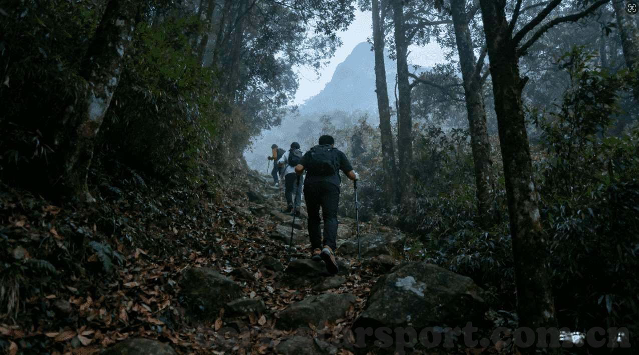 永利娱乐进不去-虚拟世界中的一道门，无法跨越的永利娱乐边界